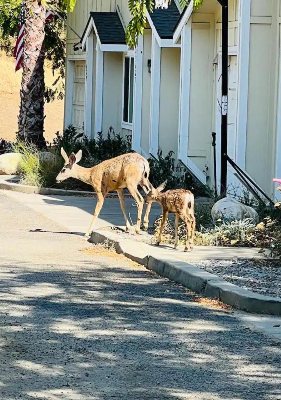 Cozy Minutes From The Sequoia National Park Appartement Three Rivers